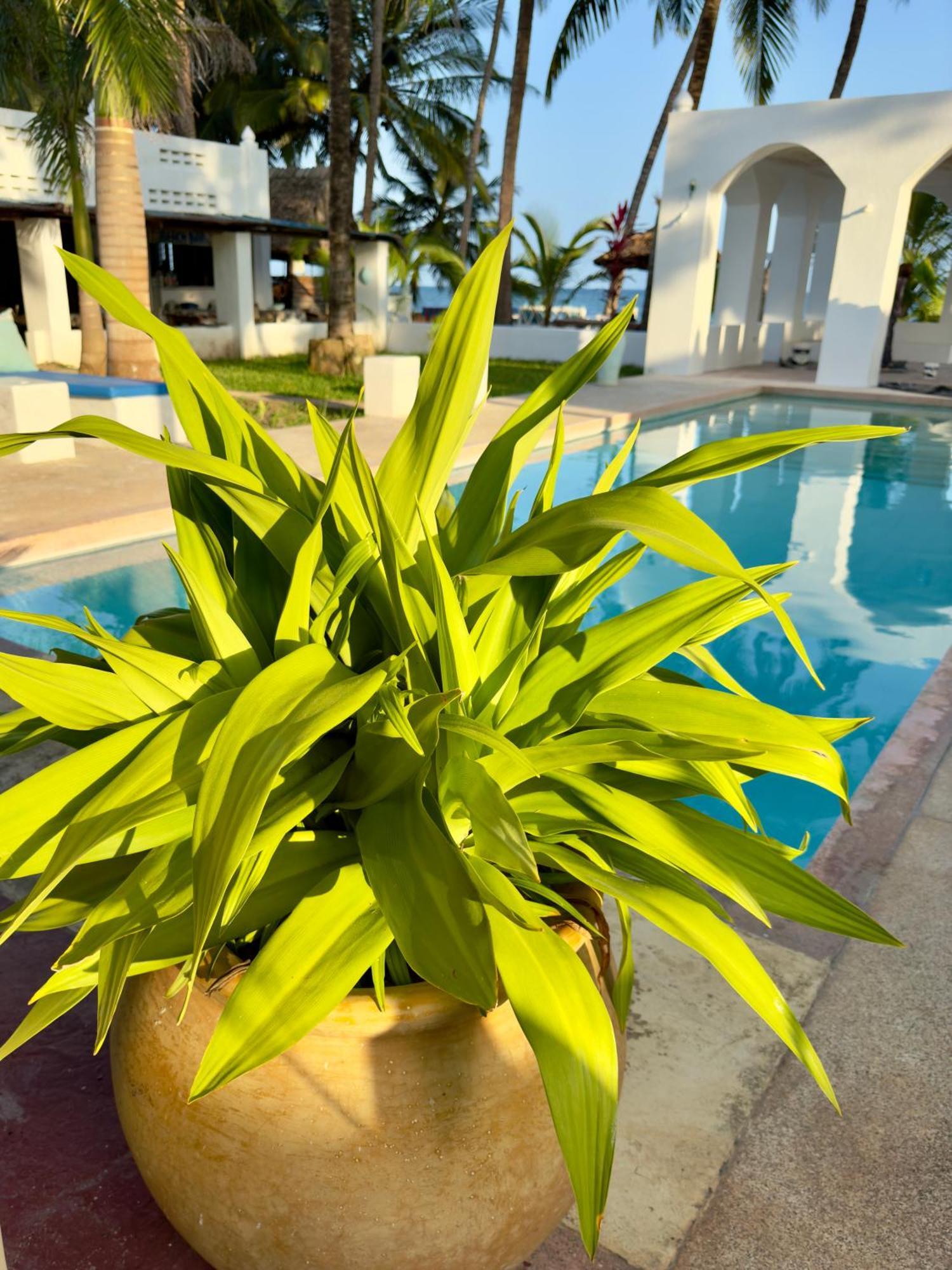 Sawa Sawa Beach House Msambweni المظهر الخارجي الصورة