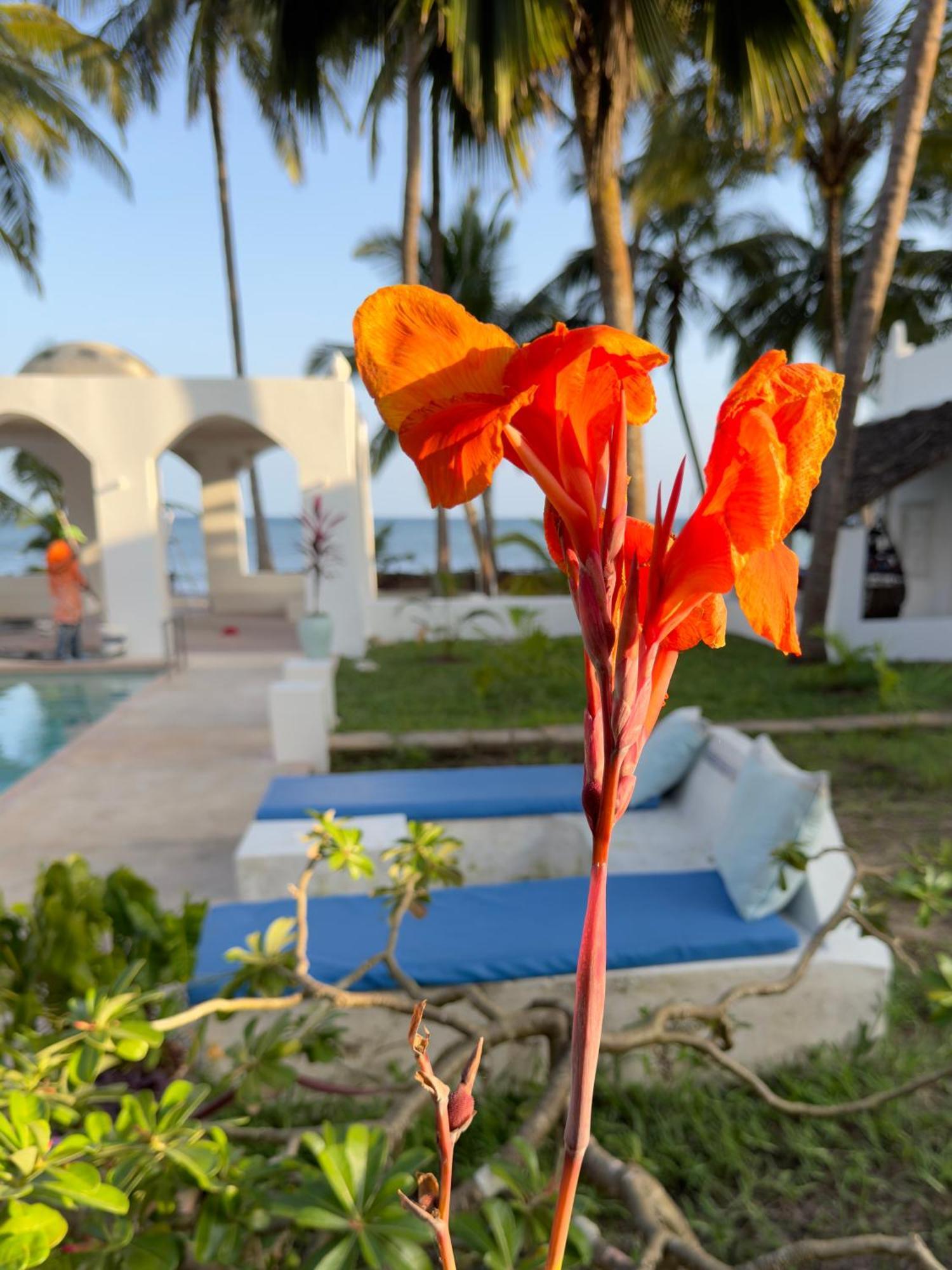 Sawa Sawa Beach House Msambweni المظهر الخارجي الصورة