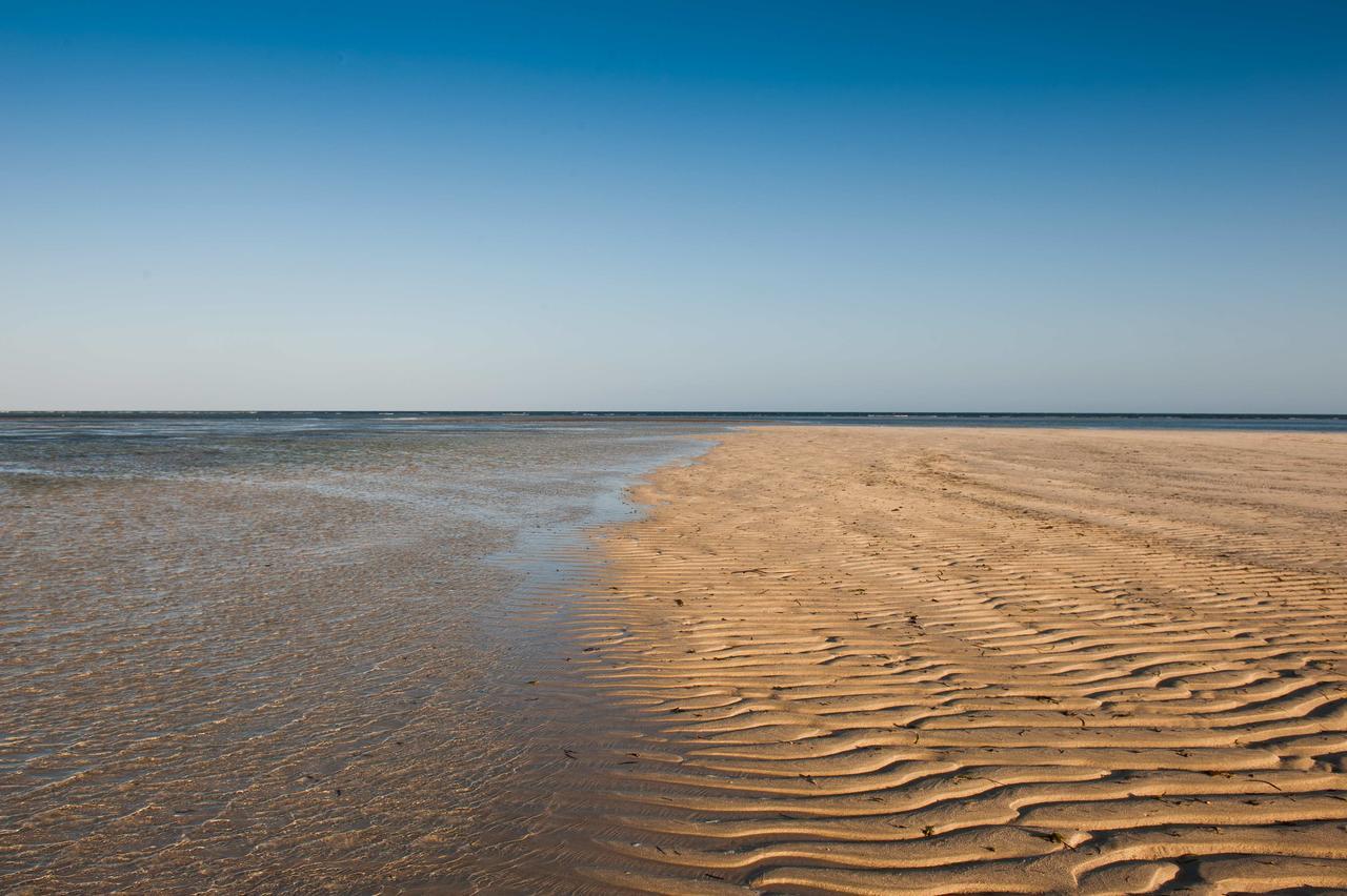 Sawa Sawa Beach House Msambweni المظهر الخارجي الصورة