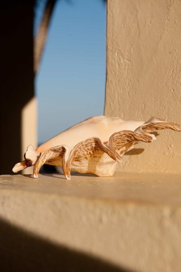 Sawa Sawa Beach House Msambweni المظهر الخارجي الصورة